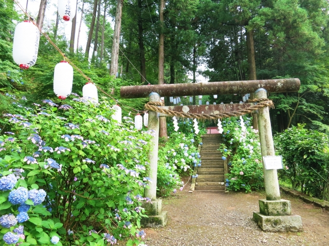 栃木県に安産祈願に有名な神社