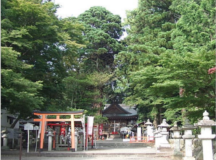 滋賀・賀茂神社の深い森