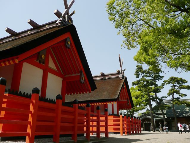 大阪安産祈願で有名な住吉神社